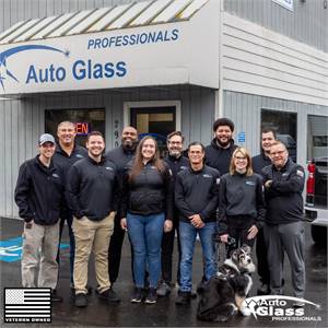Auto Glass Professionals in Olympia