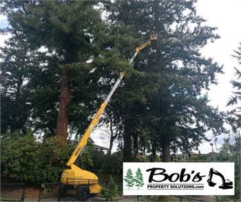 Enhancing Thurston's Natural Beauty: The Importance of Tree Trimming with Bob's Property Solutions